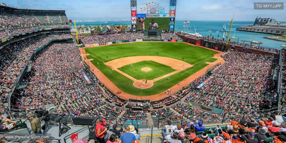 电竞视讯捕鱼平台：职业真人海洋射击，高清团战不错过